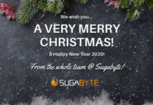 Happy Holidays – Wrapping Up 2019